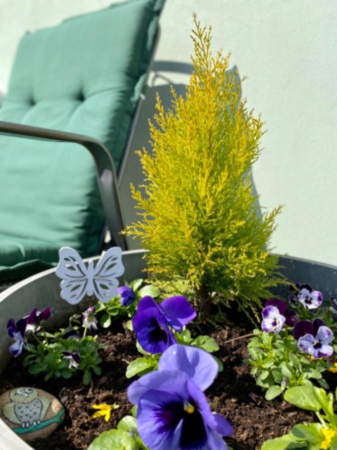 Apartmány u rybníčka Pribraz Exterior foto