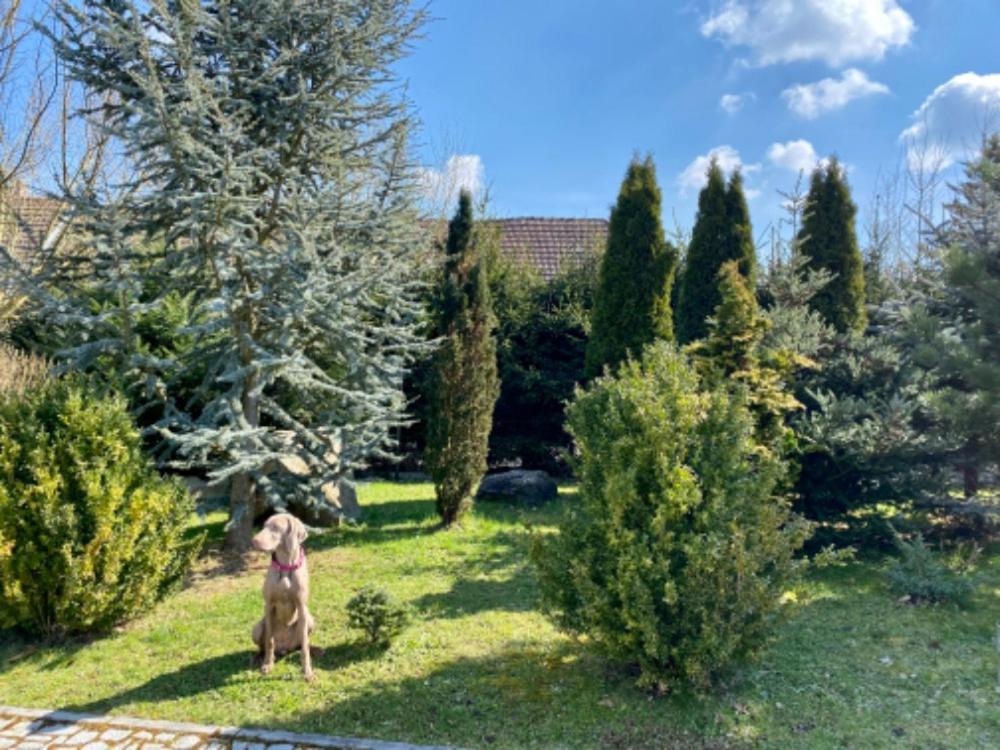 Apartmány u rybníčka Pribraz Exterior foto